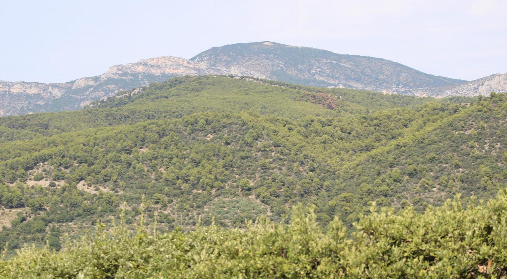 Le Pas Du Ventoux Vila Mollans-sur-Ouvèze Exterior foto