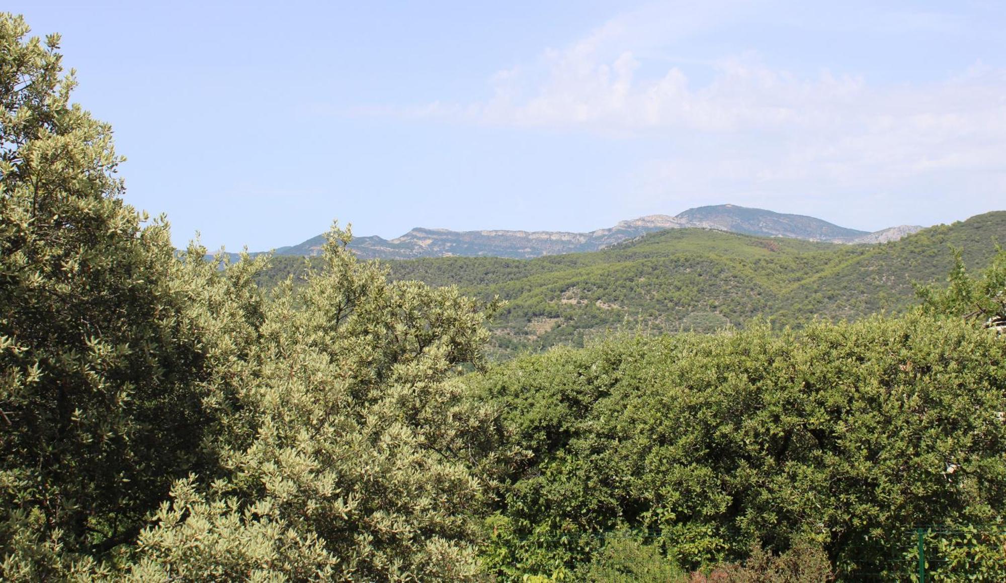Le Pas Du Ventoux Vila Mollans-sur-Ouvèze Exterior foto
